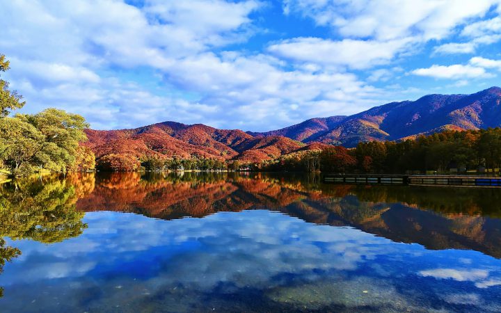 建設リサイクル法に基づく分別解体の義務と再資源化の手順